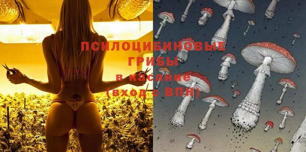 спайс Алексеевка