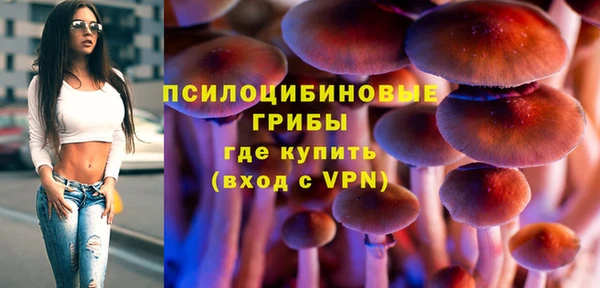 героин Алексин