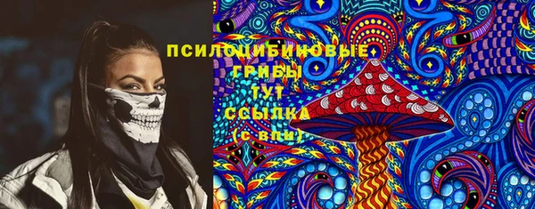 героин Алексин